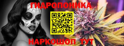 скорость Заволжье